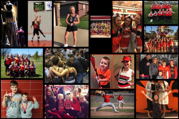 Allstate Tiger Spirit Poll