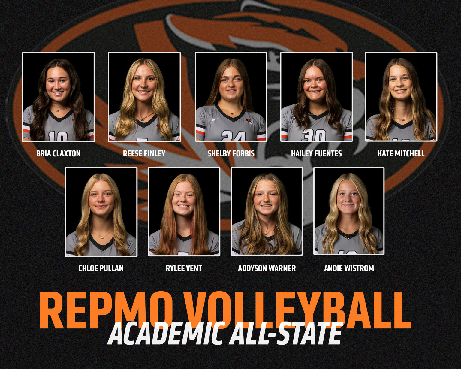 Nine Volleyballers Land on Academic All-State Team