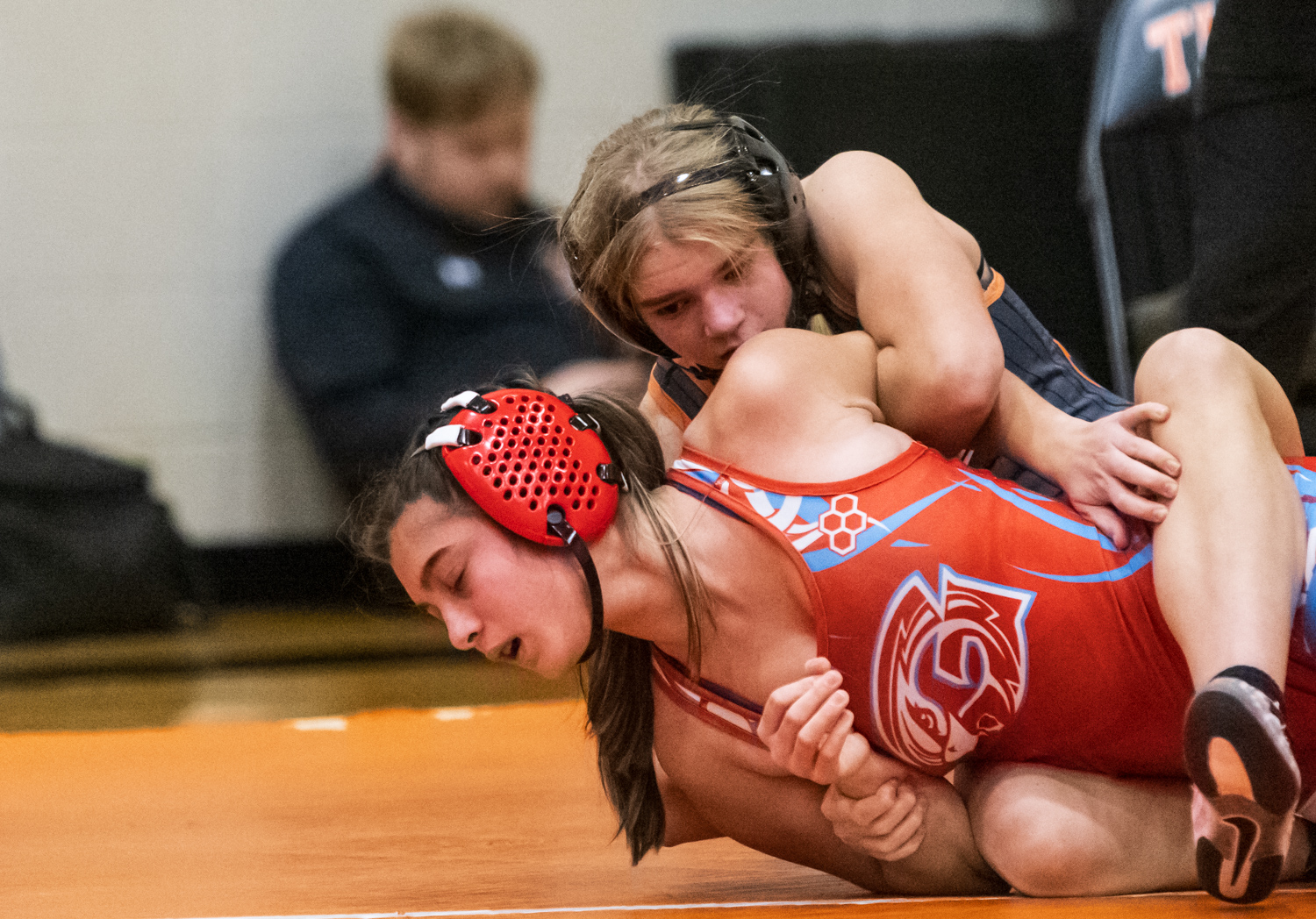 Lady Tigers on the Cusp of More History After District Day 1