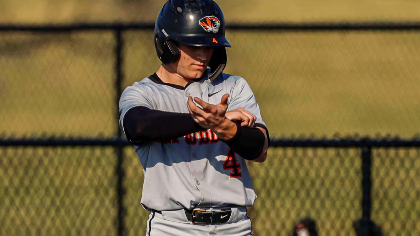 Tigers Perk Up to Ground Houn’s