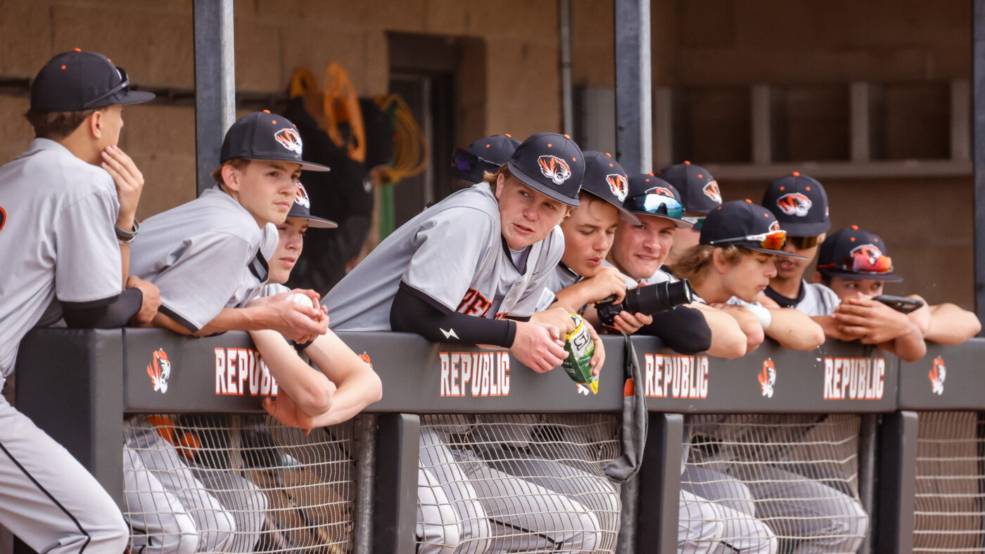 Baseball Tigers Drop Two in Weekend Action